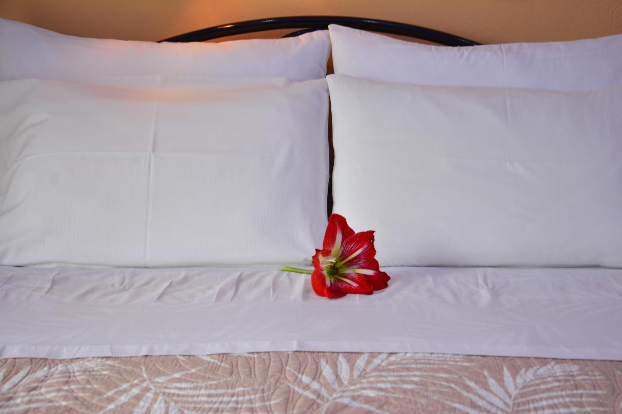 Corfu Dream Fani Apartment อิปโซส ภายนอก รูปภาพ